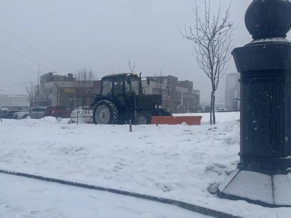 ������ ��������: ������ ����-���������� ��������� � ������ ���������� ���������� � ����� � ���������� ������, ������� �������������� � ������ � ����������� �����