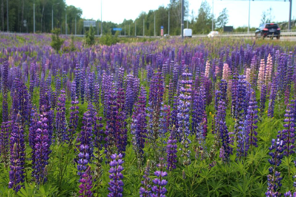 ������: ������� ��������� �������