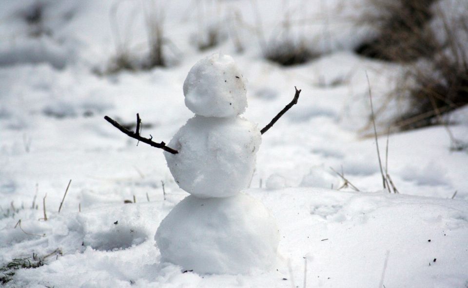 ���� � �����: ����� ������ ��� ������� � ������ � ������ ���� �����