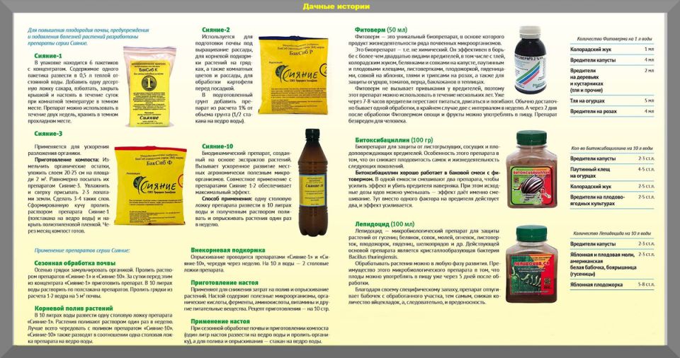 ��� ������������ �������� ��������: ������������ ����������� �� �������������