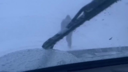 � ������ ���� �����! ������ �� ����������� ������� � ������-���������!