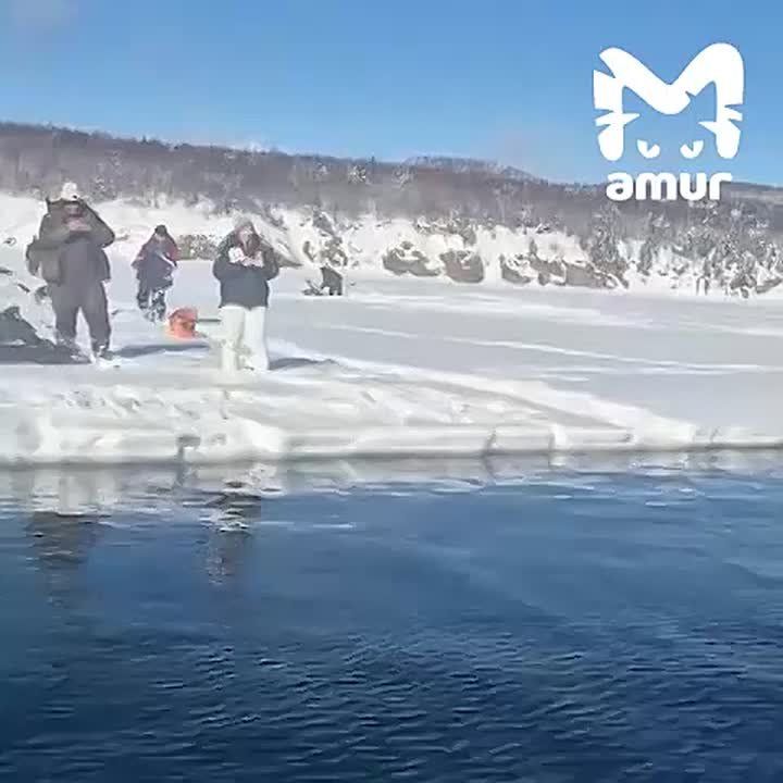 Больше 20 рыбаков уносит на льдине в море на Сахалине