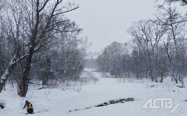 Снег и ветер сохранятся в Сахалинской области: погода в регионе 2 марта