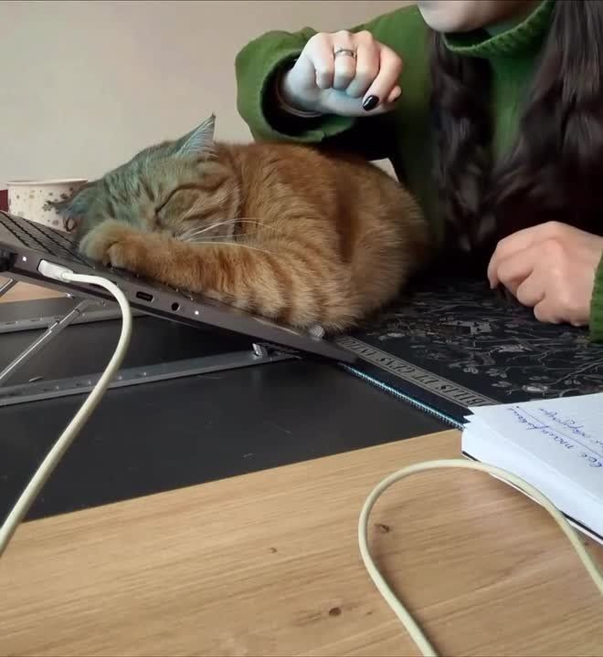 ������ ����, ������� � ������!