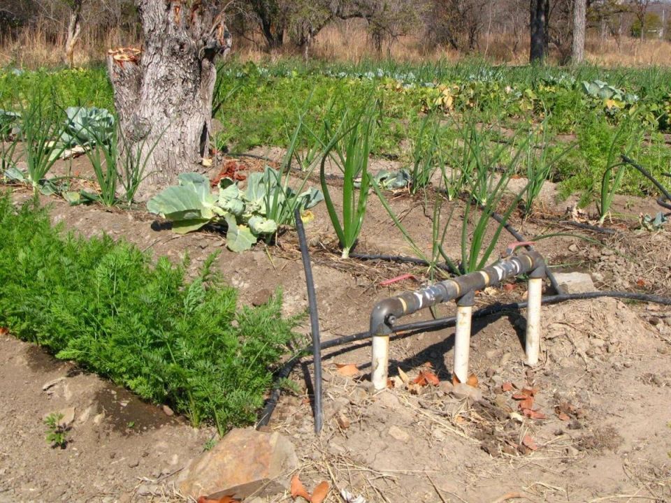 ��� ����� ������������ ���������� �����: ������ � ����