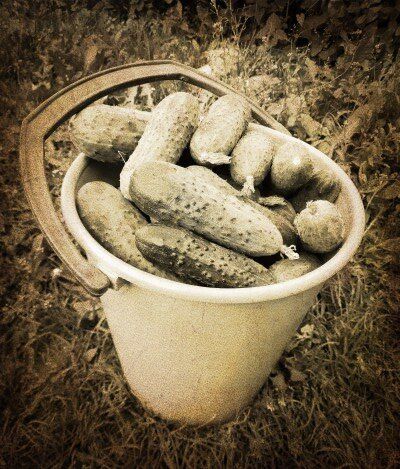 �������� ��������� ������� �� ����������� �������