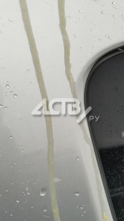 �������� ������ ��������� ���� �������������, ����������������� � ��������� ����