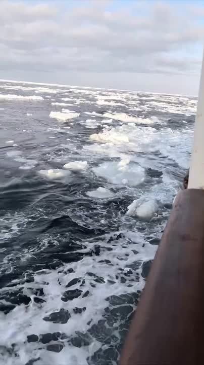 ����������� �� � ������� ������� - ������ �������!