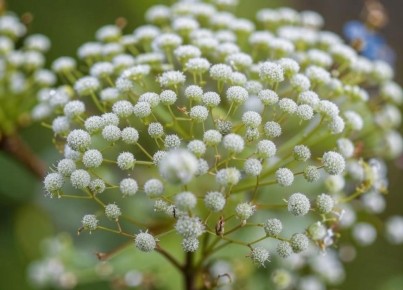 ���������: ������� ��������� ����������� � ����� �� ������ �������