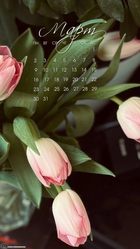 � ������ �������� �������������, �����!