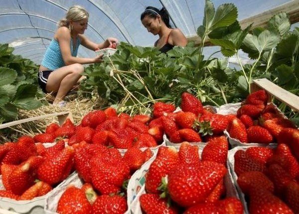 ���������� ������: ��� ������ � ��� ��������� ������