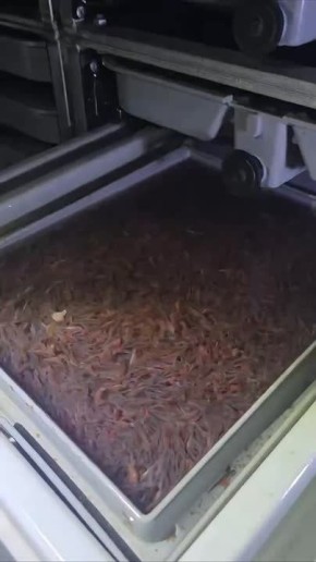 ������ ������� � ����, ������� ��������� �������� ���������� ������ ��������, �������� ��� � ��������� � �������� �� ����