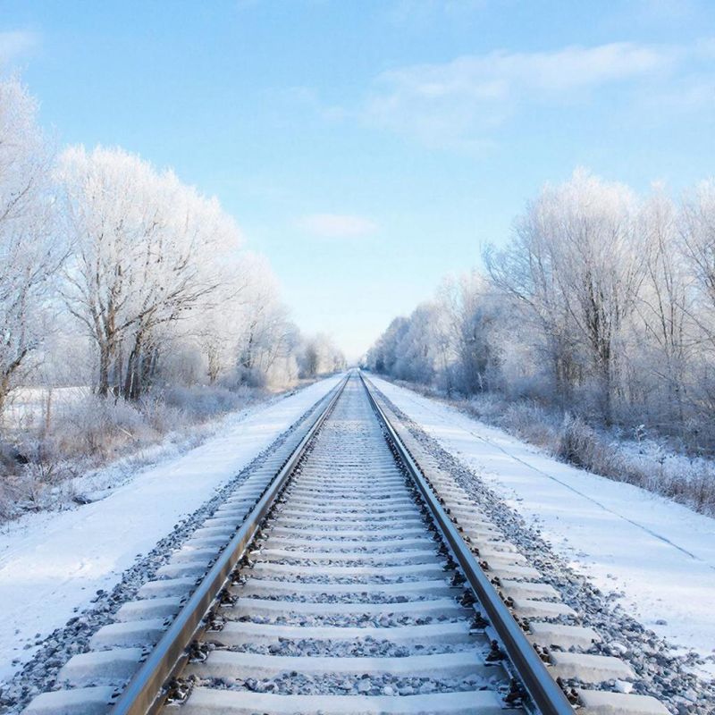 �� ���������� ����������� � ��������� �������� ��������� �������� �� �/� ��������