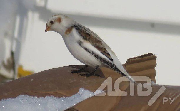 ���� � ����������: ��������� �������� ������� ������ �� ��� �������� 2 �����