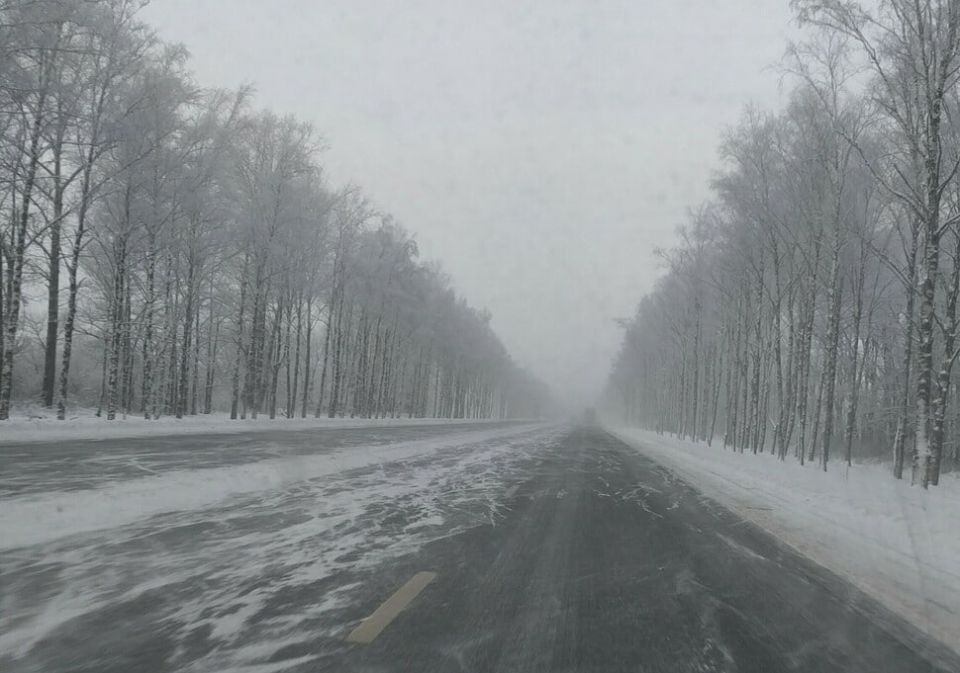 ������ �� ���� ����������� �� �������� ������ � ��������