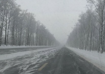 ������ �� ���� ����������� �� �������� ������ � ��������