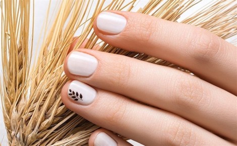 ��������� ������ ������������ �� �������� � ����-�����: ���������� ������ astv.ru