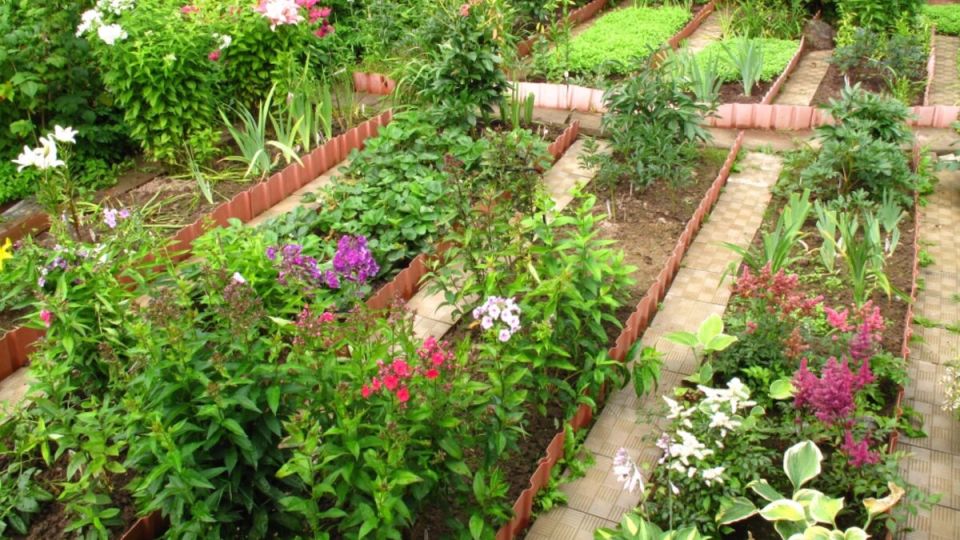 ��������� ���������� ��� ���������: ��� ������� � �������