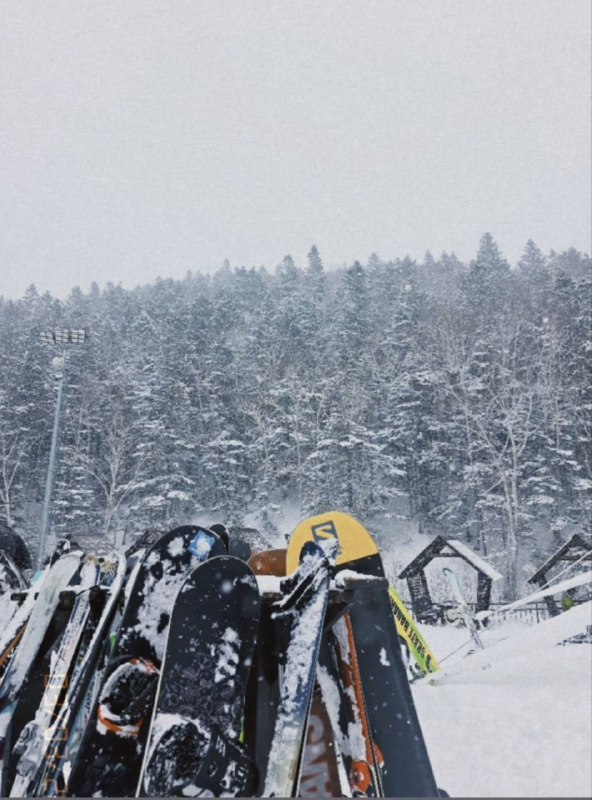 Число бронирований отелей и апартаментов на Сахалине выросло на 31%