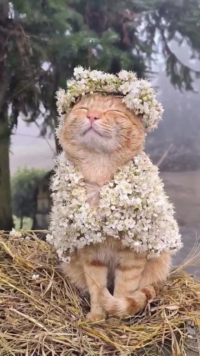 ������ ����. �� ��������� ��������� 3 ����� �������� ���� �������