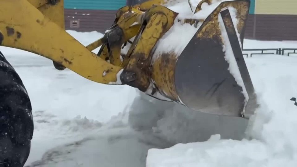 ������ ������� ��������� ������ �������� - ����� ���������� ���� �� ������������