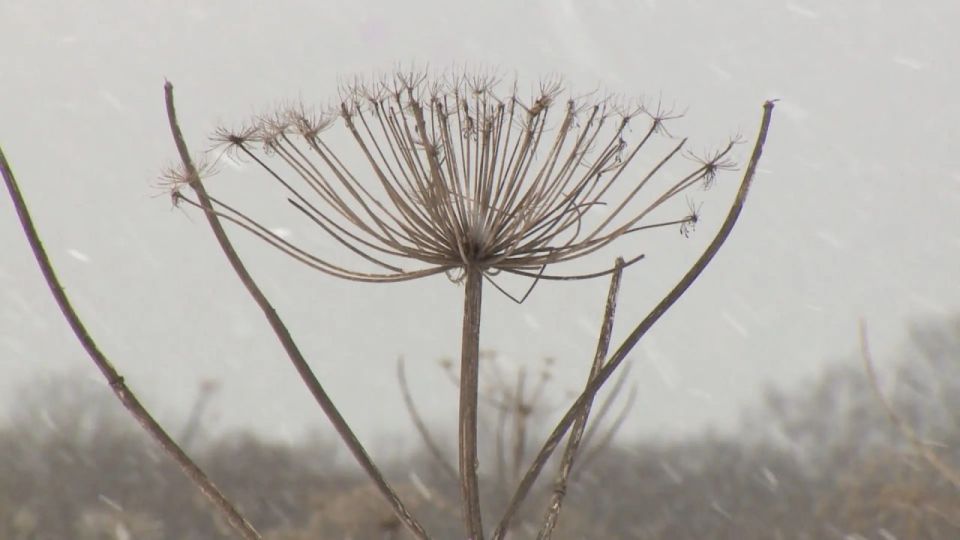 �������� � ���������� ����������� ������ ����� ��������� ���� �����