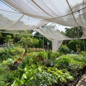 ������ �������� �� ��������� ��������: ��� ��������� ������ ��� ������� � ������