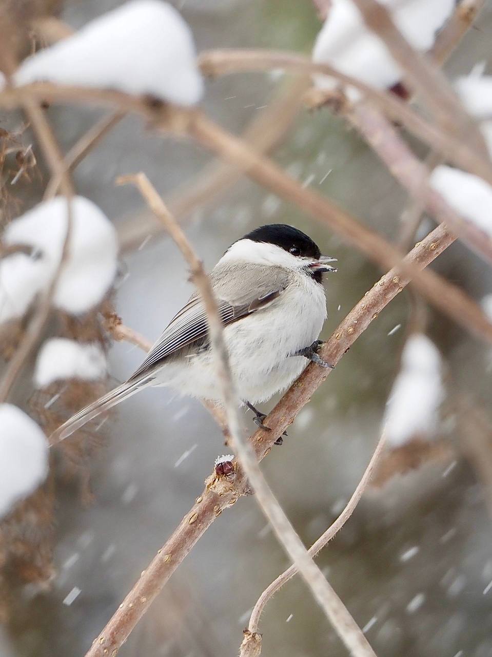 Доброе утро, Южно-Сахалинск! Доброе утро, Южно-Сахалинск!