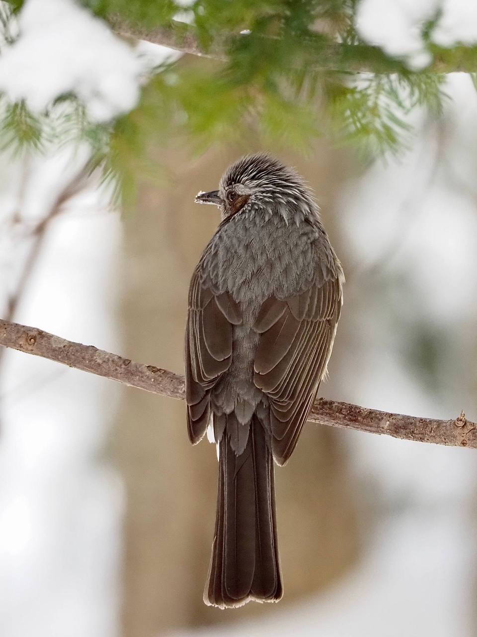 Доброе утро, Южно-Сахалинск! Доброе утро, Южно-Сахалинск!