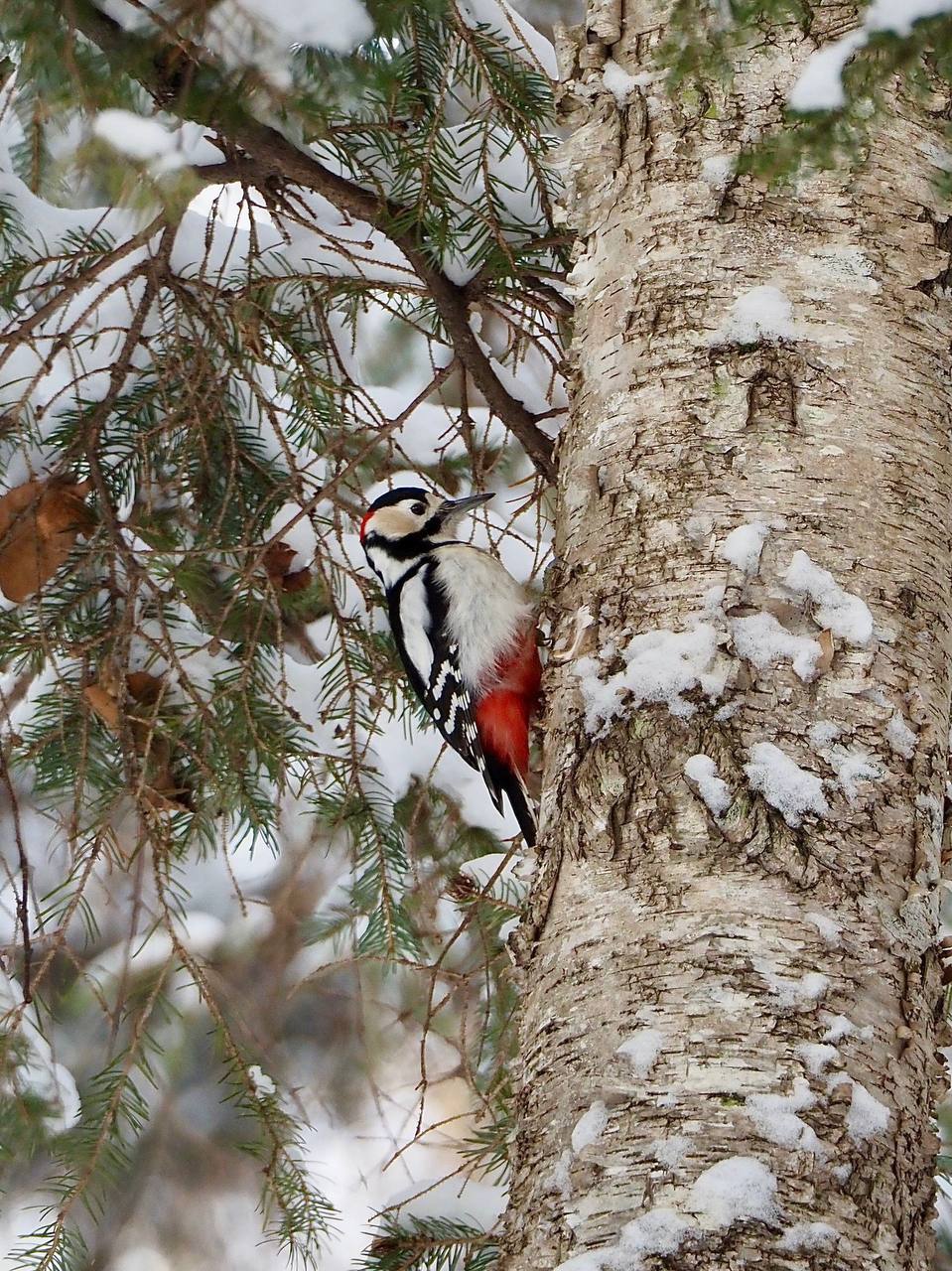 Доброе утро, Южно-Сахалинск! Доброе утро, Южно-Сахалинск!