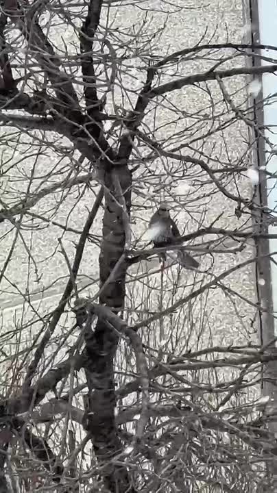 Доброе утро, Южно-Сахалинск!