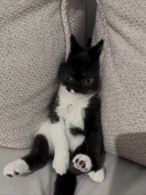 ������ ����. 4 ����� �� ���� ��������� ������