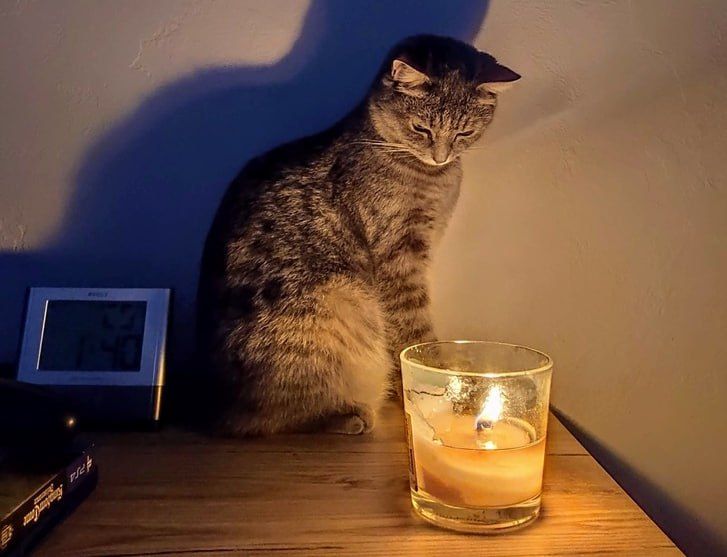 ����������� ���������� ��������, ��� �������� ���� 5 �����