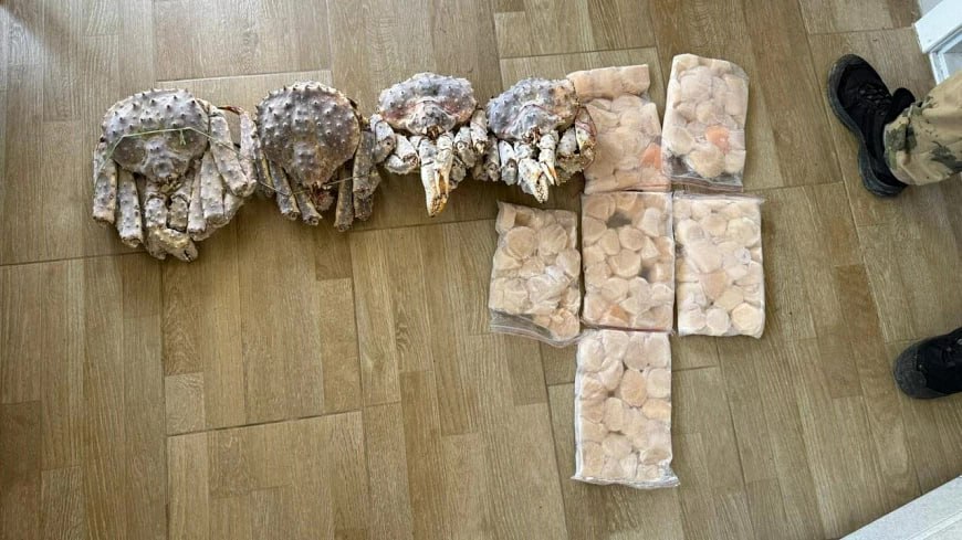 Четверым сахалинцам предъявили обвинение по делу о морских гребешках почти на полмиллиона рублей Четверым сахалинцам предъявили обвинение по делу о морских гребешках почти на полмиллиона рублей