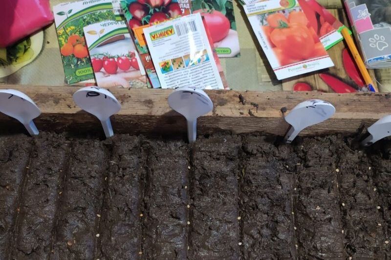 ��� ��������� ����������� ������ �������: �������� ������ �� ���������