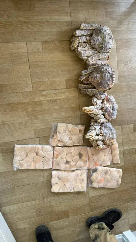 ����������� ���������� ���������� ����� ����� �� ���������� ����� �������� ��������