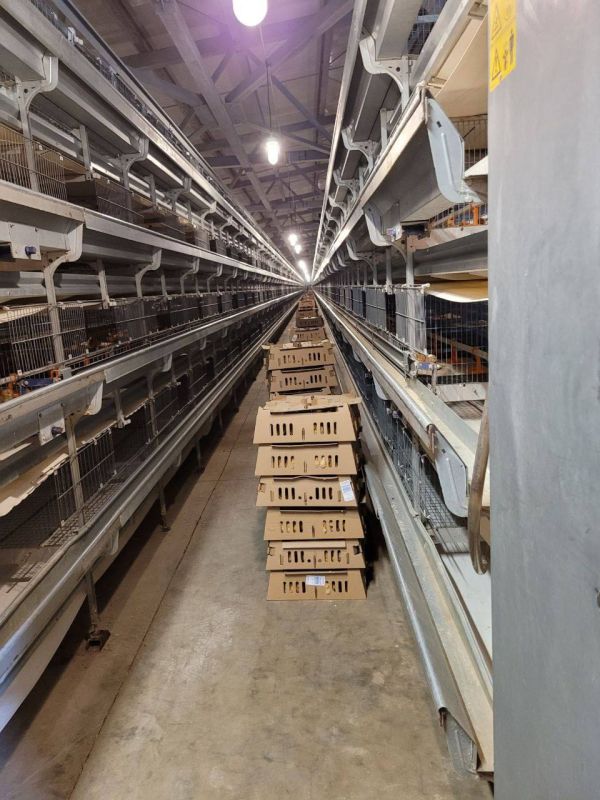 83 000 �������� ������ ����� ��� ������� �� �������