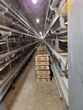 83 000 �������� ������ ����� ��� ������� �� �������