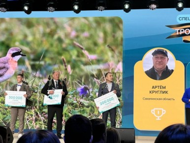 ������� ����������� ��������� ���� ����� ������� ������� ������ � ����������� ��������� �������������� �������� �������� ������ � ����� �����������-2025�