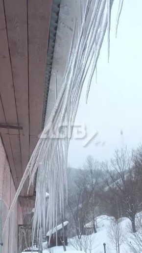 "������ ������": ������ ���������� �������� �� ������ ���������� ��������� �����