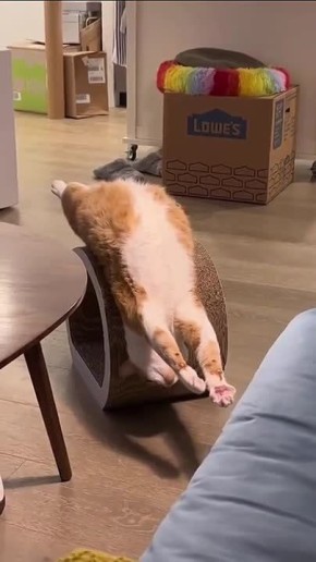 ������ ����, ������� � ������