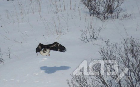 �� 0 �� +2 ��������: ��������� �������� ���������� ������� ������ �� ��� ��������