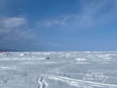 ����� �� �� � ���-���������� ��������� �������� ������ ������