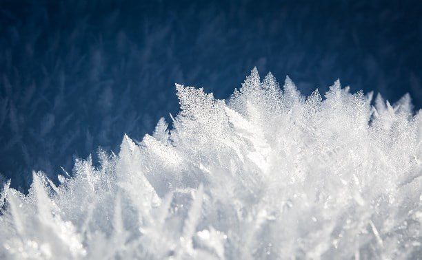 ������� � ������: ������� ������ ��� ����������� ������� �� 7 �����