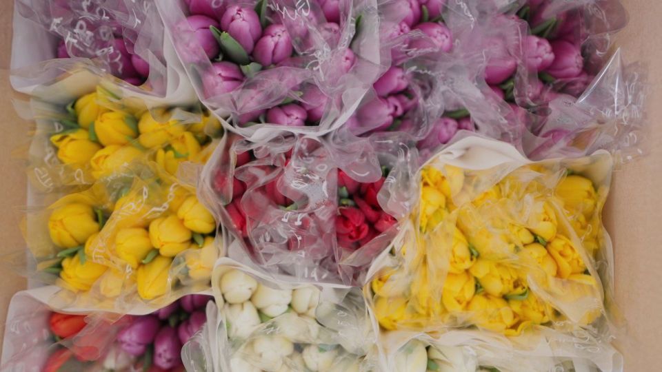 На Сахалине и Курилах поздравляют жен и матерей участников СВО