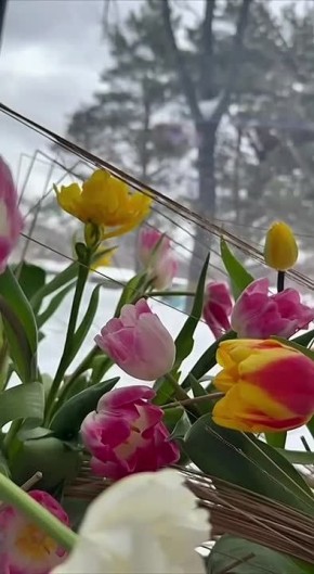 � ������ ��������� �������� ������. �����������