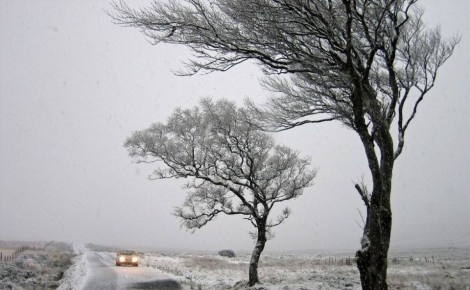 ������� ���� � �����: ���������� ������� ��� �������� � ����� �� 7 �����