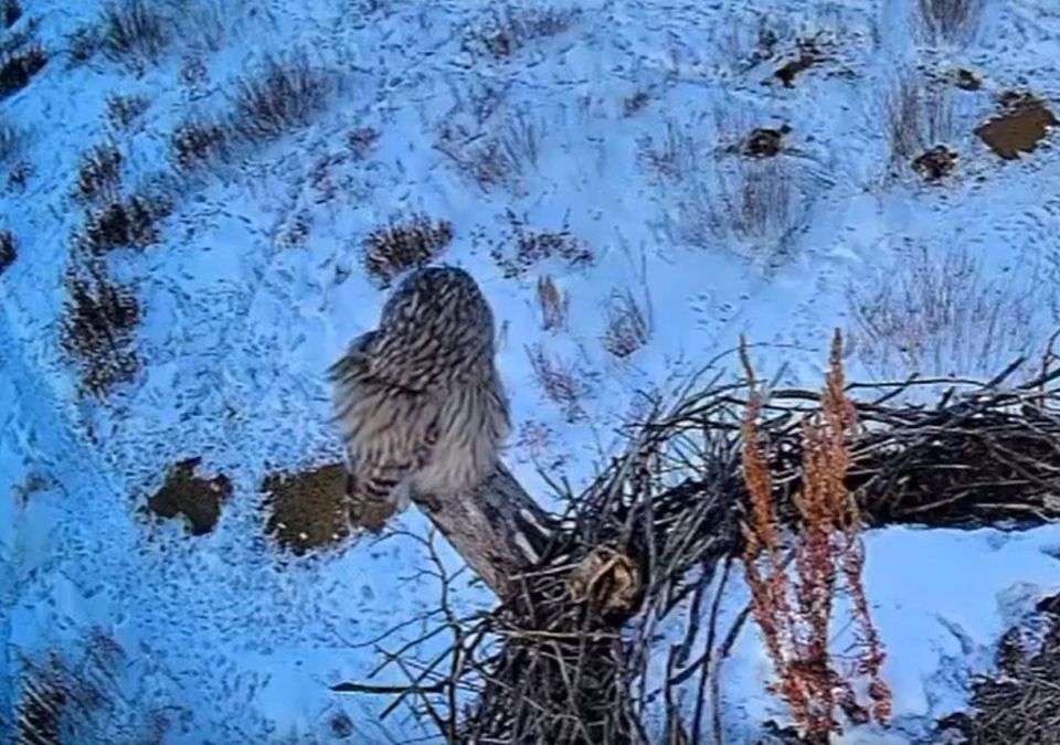 � �������� ������� ���� ��������� ����� � ������ �����