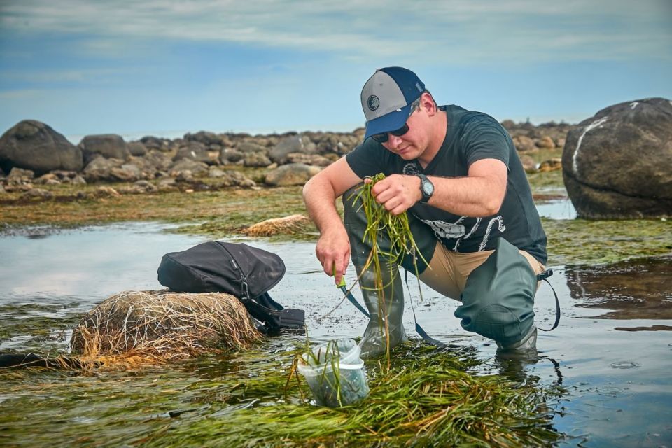 �� ����������� ���������� ����� ������ ���������, ��������� � ���-��������