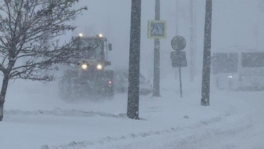 ������ - ����� �������� ����